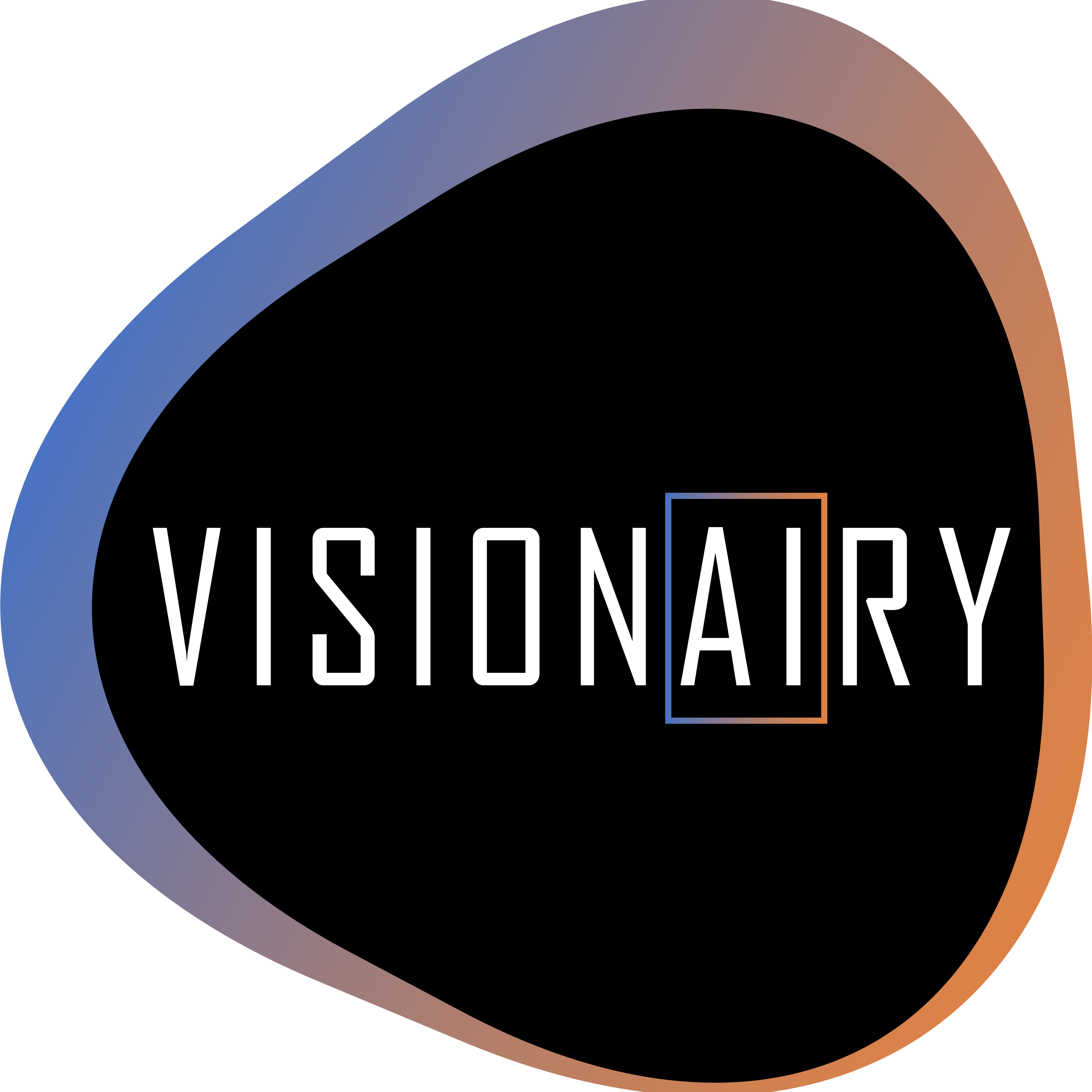 Dutchdatabusters Visionary logo