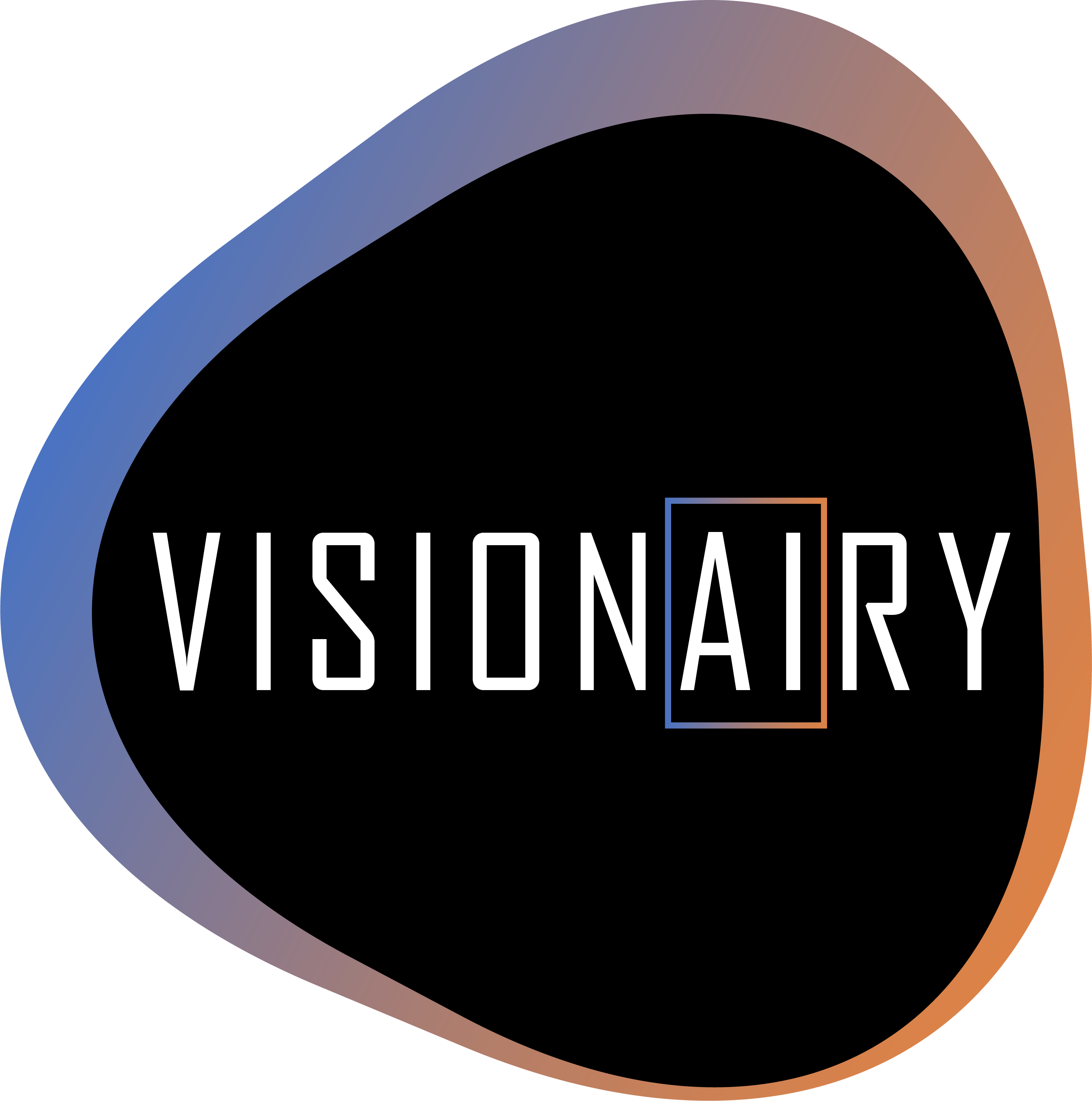 Dutchdatabusters Visionary logo